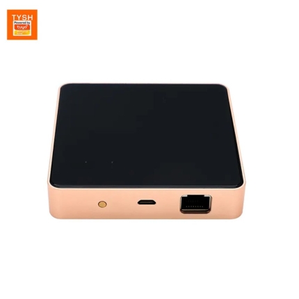 Zigbee 3.0 Wired Zigbee Gateway (Tuya)